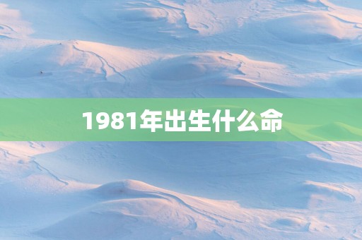 1981年出生什么命