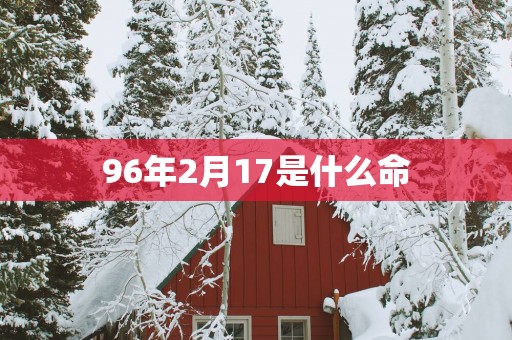 96年2月17是什么命
