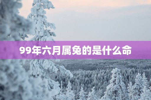 99年六月属兔的是什么命