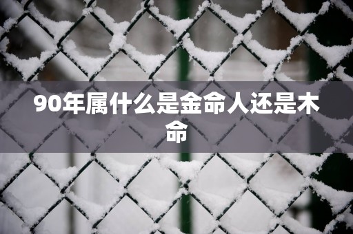 90年属什么是金命人还是木命