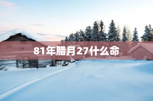 81年腊月27什么命
