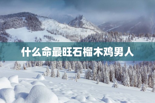 什么命最旺石榴木鸡男人