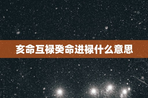 亥命互禄癸命进禄什么意思