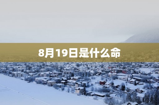 8月19日是什么命
