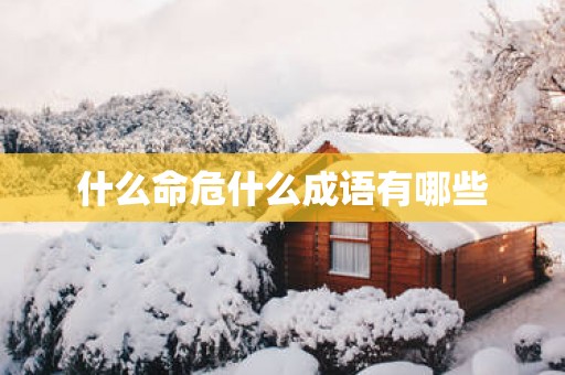 什么命危什么成语有哪些