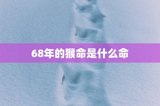 68年的猴命是什么命