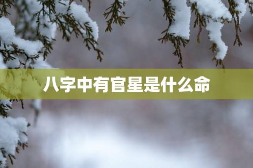 八字中有官星是什么命