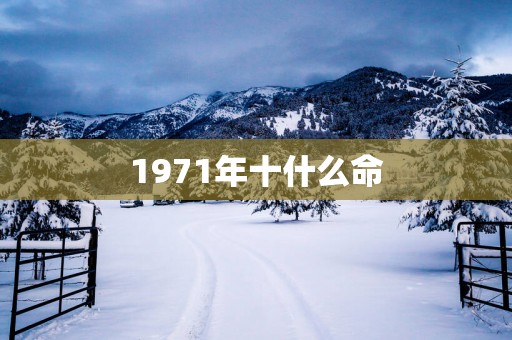 1971年十什么命
