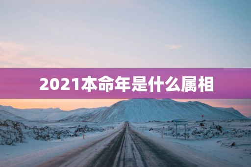 2025本命年是什么属相