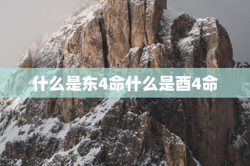 什么是东4命什么是酉4命
