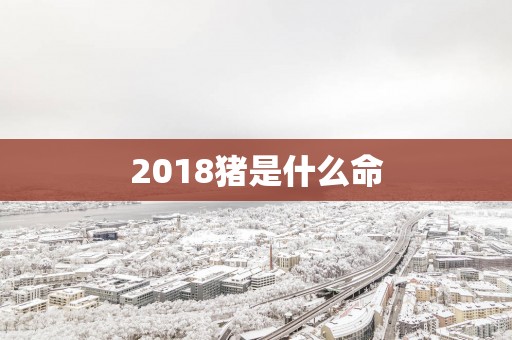 2018猪是什么命