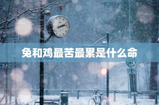 兔和鸡最苦最累是什么命