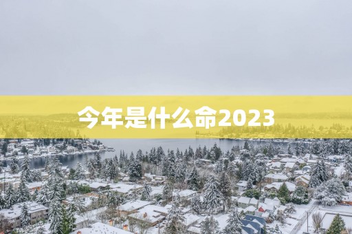 今年是什么命2025