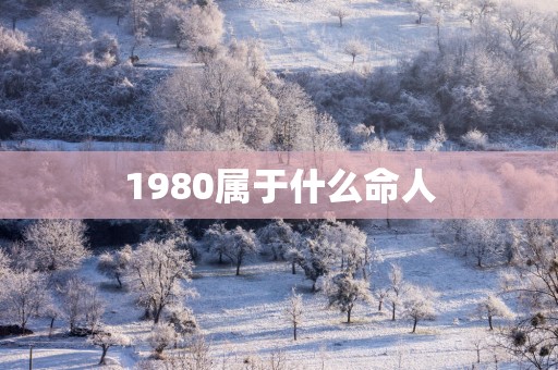 1980属于什么命人