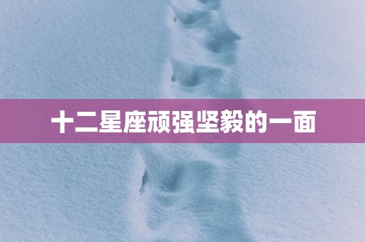 十二星座顽强坚毅的一面