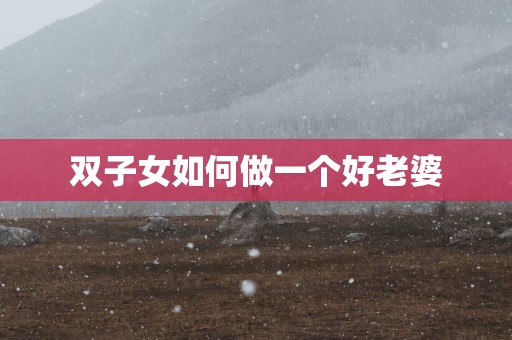 双子女如何做一个好老婆