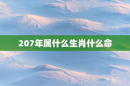 207年属什么生肖什么命 207年属什么生肖什么命