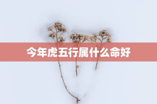 今年虎五行属什么命好