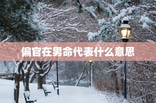 偏官在男命代表什么意思