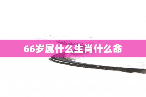 66岁属什么生肖什么命