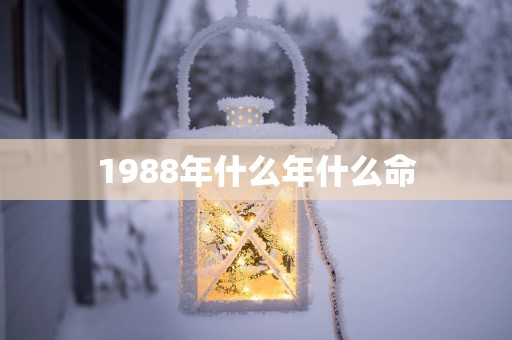 1988年什么年什么命