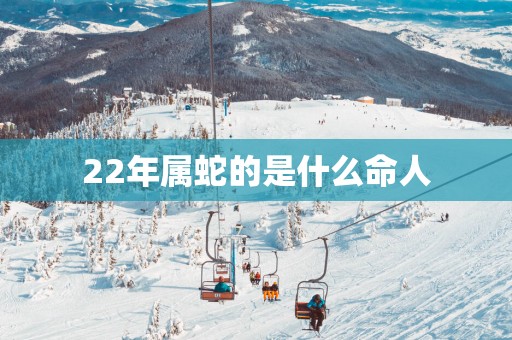 22年属蛇的是什么命人
