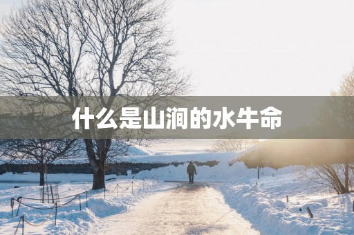 什么是山涧的水牛命