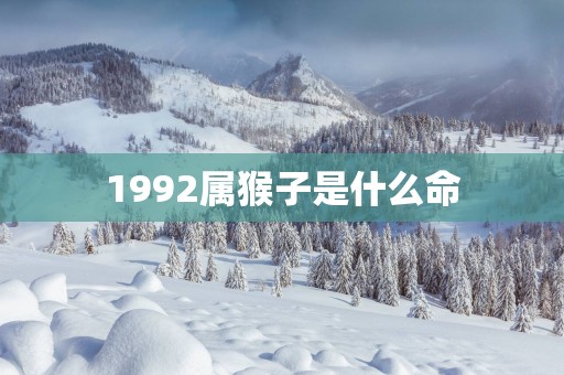 1992属猴子是什么命