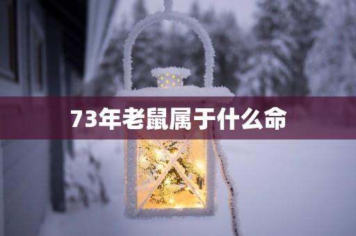 73年老鼠属于什么命
