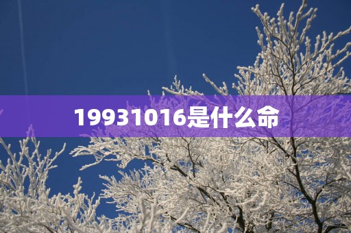 19931016是什么命