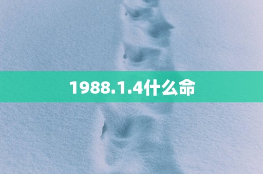 1988.1.4什么命