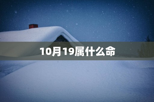 10月19属什么命