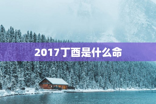 2017丁酉是什么命