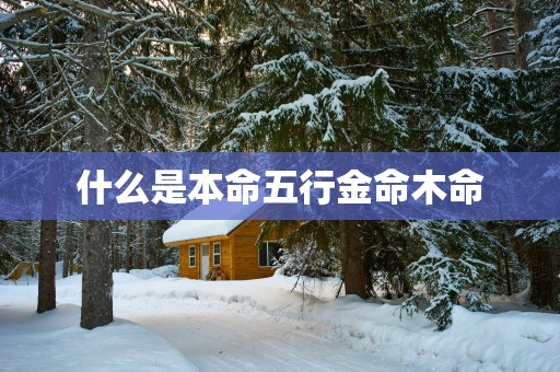 什么是本命五行金命木命