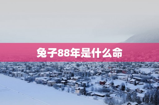兔子88年是什么命
