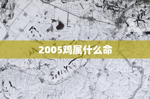 2005鸡属什么命