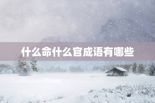 什么命什么官成语有哪些