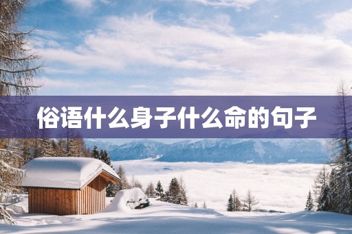 俗语什么身子什么命的句子