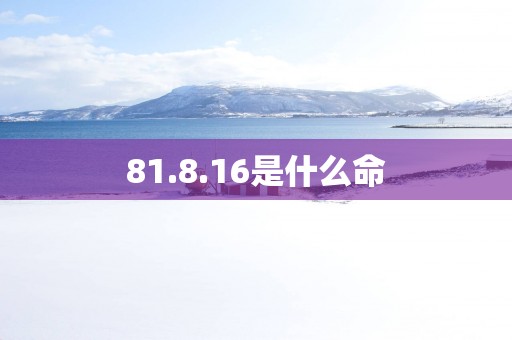 81.8.16是什么命