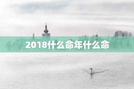 2018什么命年什么命
