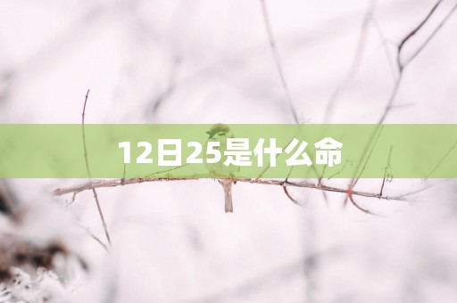 12日25是什么命