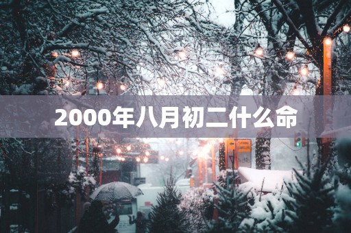 2000年八月初二什么命