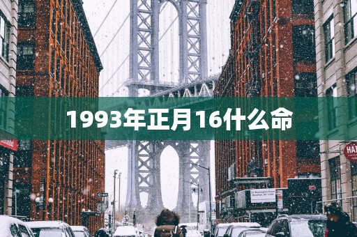 1993年正月16什么命
