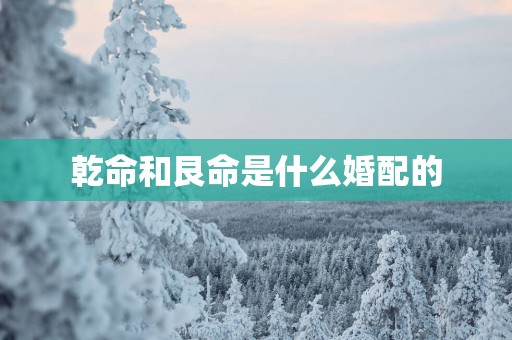 乾命和艮命是什么婚配的