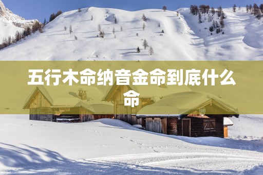 五行木命纳音金命到底什么命