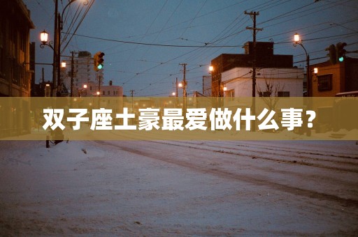 双子座土豪最爱做什么事？