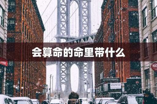 会算命的命里带什么