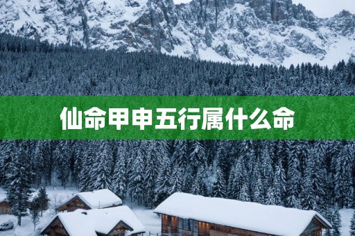 仙命甲申五行属什么命