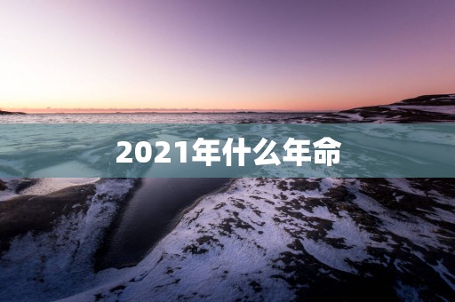 2025年什么年命