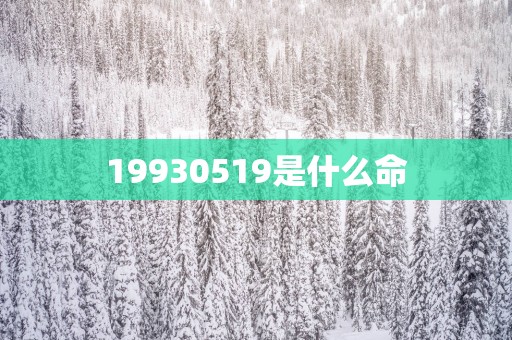 19930519是什么命